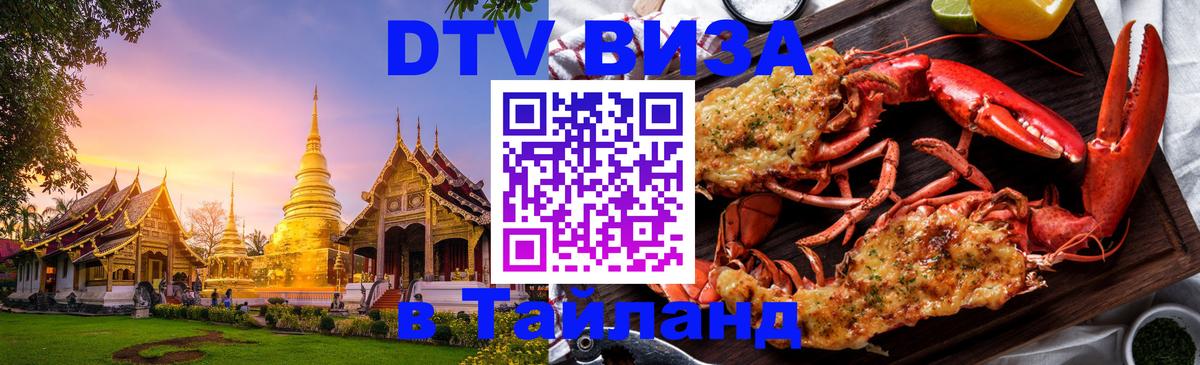 Оформление DTV визы под ключ: стоимость и тарифы, только загранпаспорт - 